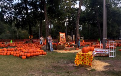 October Updates 2019