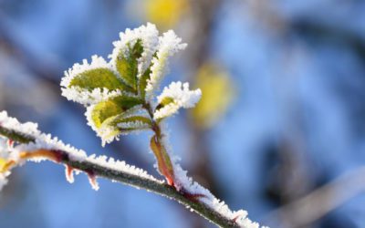 January Updates 2020