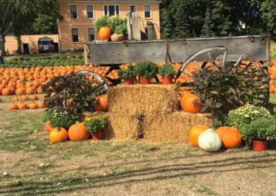 Pumpkins Everywhere!