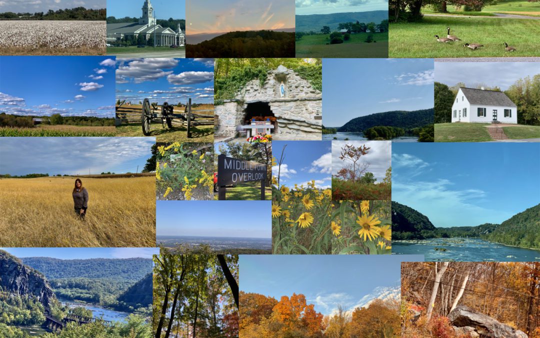 November Updates 2020