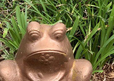 Find the Lizard, Texas by Diann