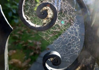 Spider Web, Australia by Green