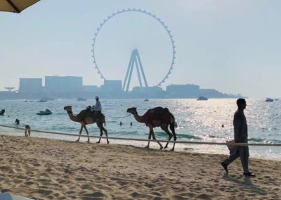 Gulf of Arabia Dubai, UAE by Julie Lewis