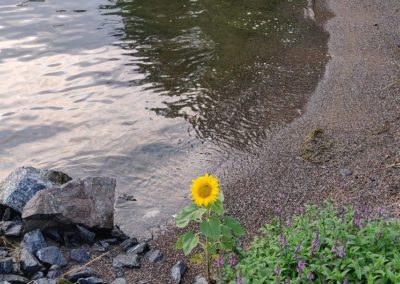 Baltic Beach By Camilla