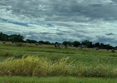 Cowboy Country - Texas, USA By Diann