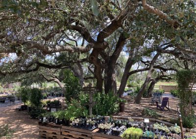 Garden Natural Shelter - Cedar Park By Diann