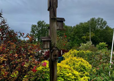 Bird Home - Kingwood By Diann