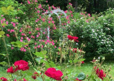 Blooming Garden - Maine, USA By Terry