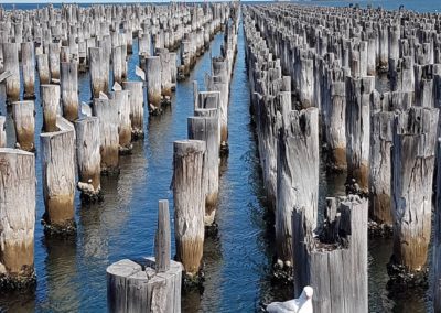 Going Solo - Melbourne, Australia by Jo