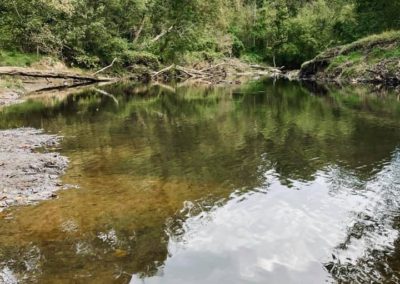 Rock Creek Park Pond - VA, USA By Rachel