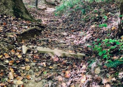 Rock Creek Park - VA, USA By Rachel