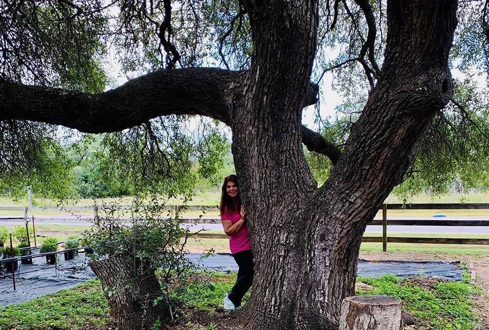 September Updates 2021