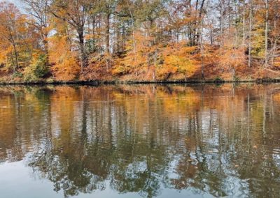 Autumn Lake - Virginia, USA by Rachel