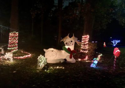Christmas Decorations - Texas, USA by Larry