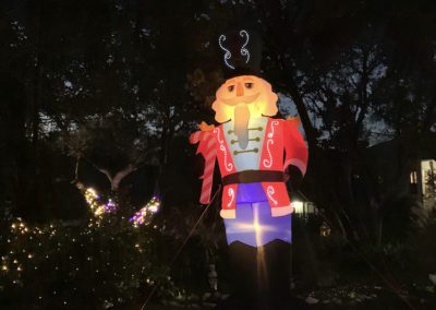 Nutcracker - Texas, USA by Diann