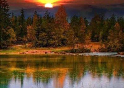 Sunset over the Forest - Texas, USA by Marsha