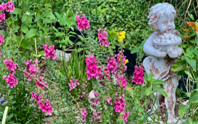 September Updates 2022