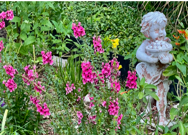 September Updates 2022