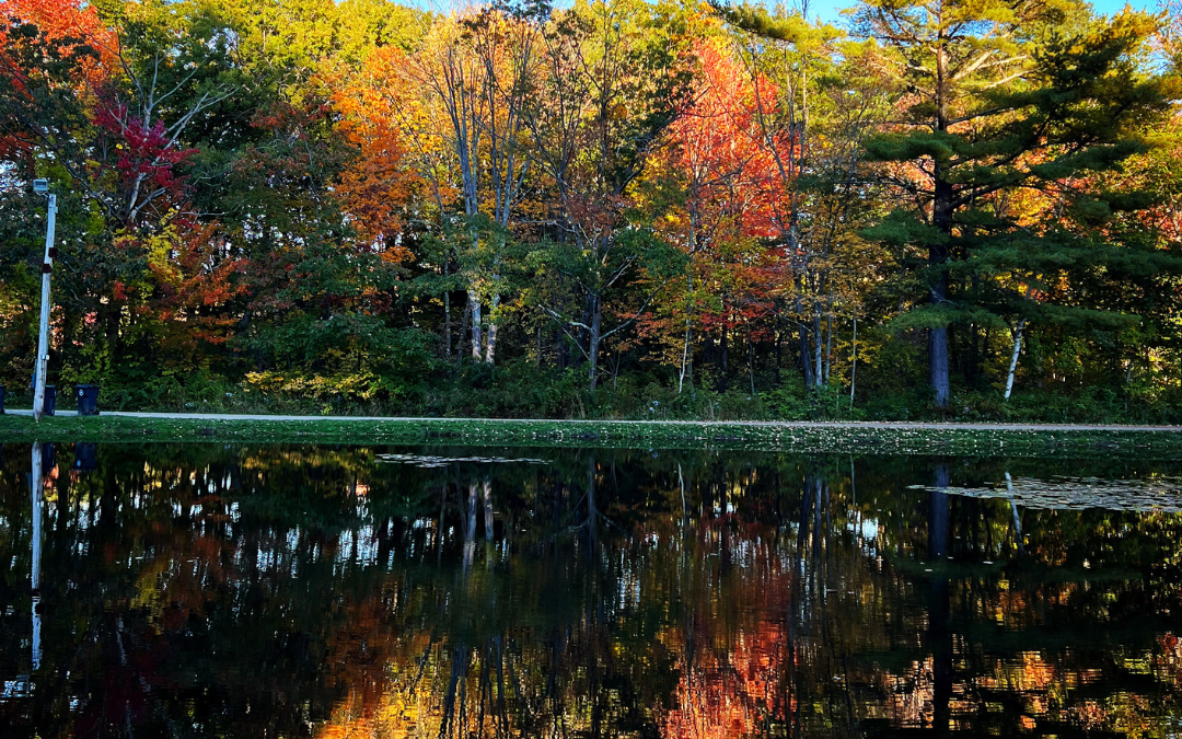 November Updates 2022