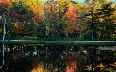 November Updates 2022