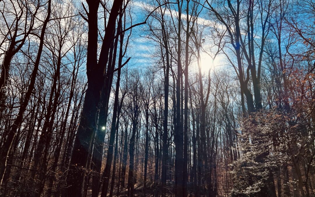 February Updates 2023