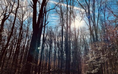 February Updates 2023