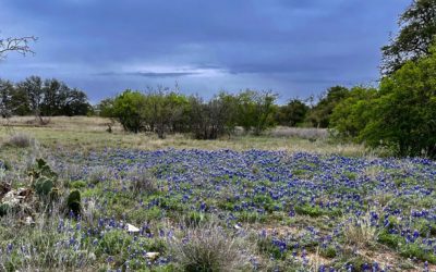 April Newsletter 2023