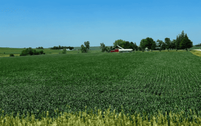 July Newsletter 2023