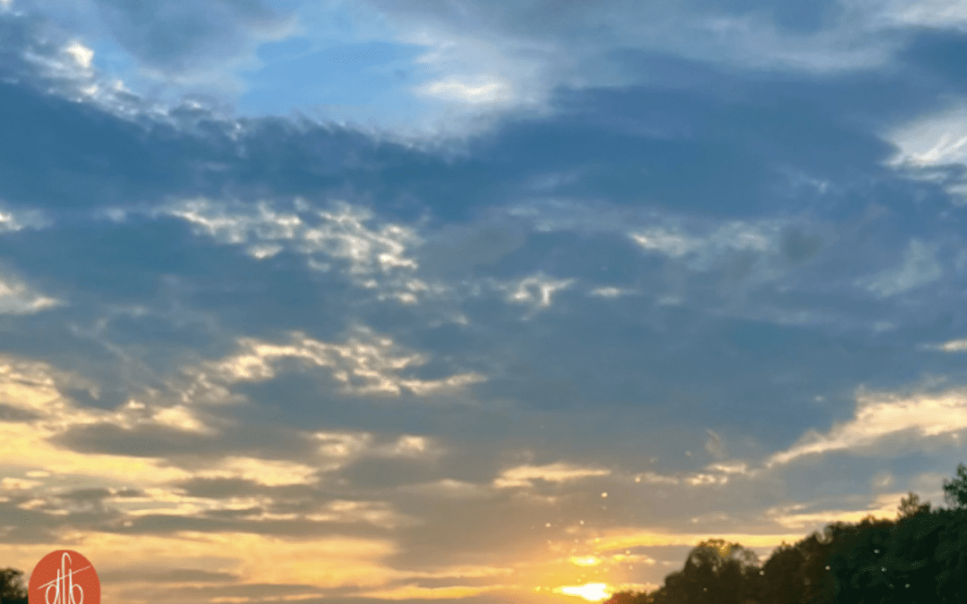 August Newsletter 2023