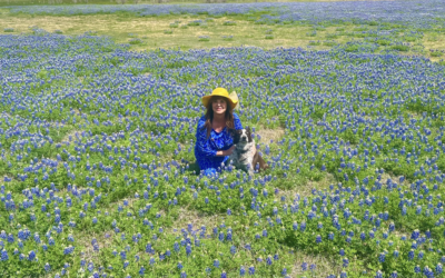 Bluebonnets, New Beginnings and Books
